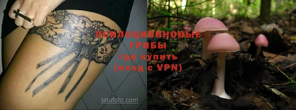 мяу мяу мука Горно-Алтайск