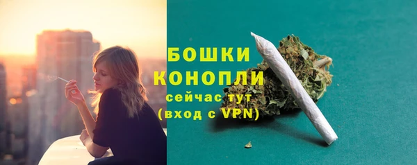 дурь Горнозаводск