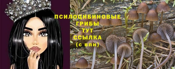 дурь Горнозаводск