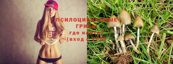 дурь Горнозаводск