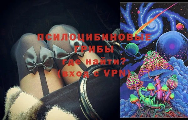 мяу мяу мука Горно-Алтайск